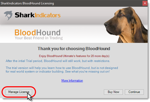 Bloodhound Weight Chart